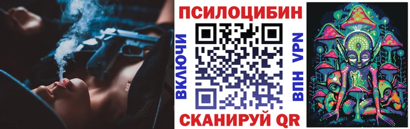 Галлюциногенные грибы Psilocybine cubensis  цены   Камышин 